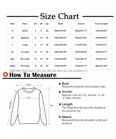 Women Casual Long Sleeve Shirts 2024 Spring Fashion Dressy Long Sleeve Tunic Tops Loose Crewneck Gradient/Solid Blouse F-wate...