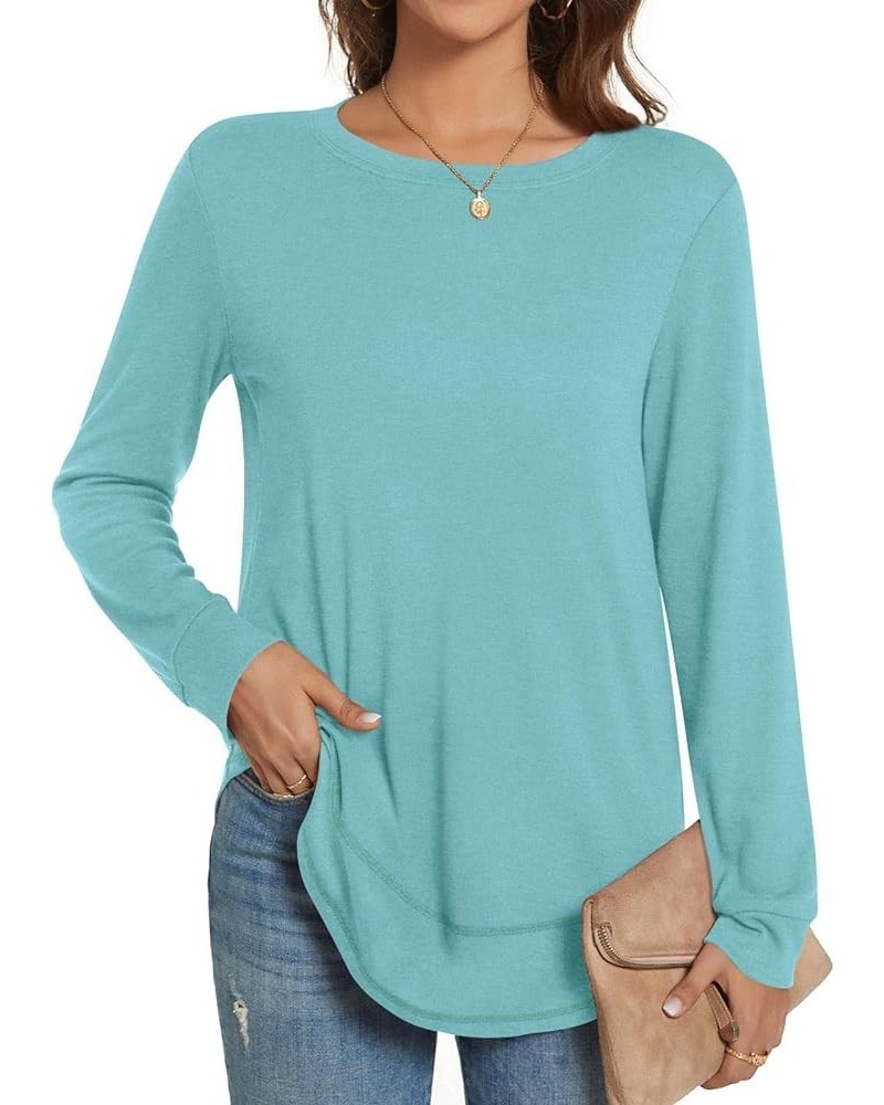 Women's Fall Casual Crewneck T-Shirts Long Sleeve Tunic Tops for Leggings Light Blue $11.72 Tops